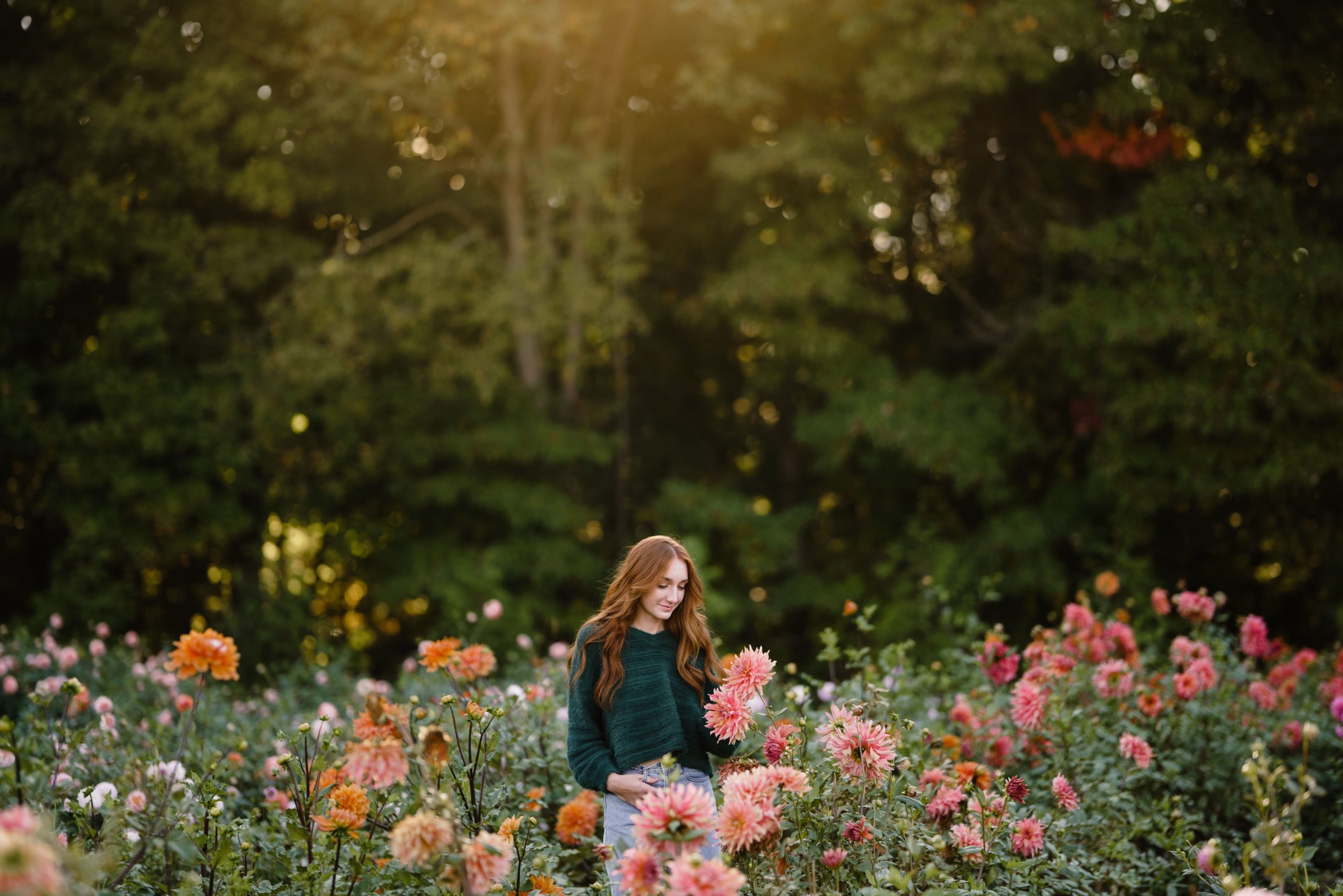 louise looks down while standing in a field of flowers for her senior portrait photography